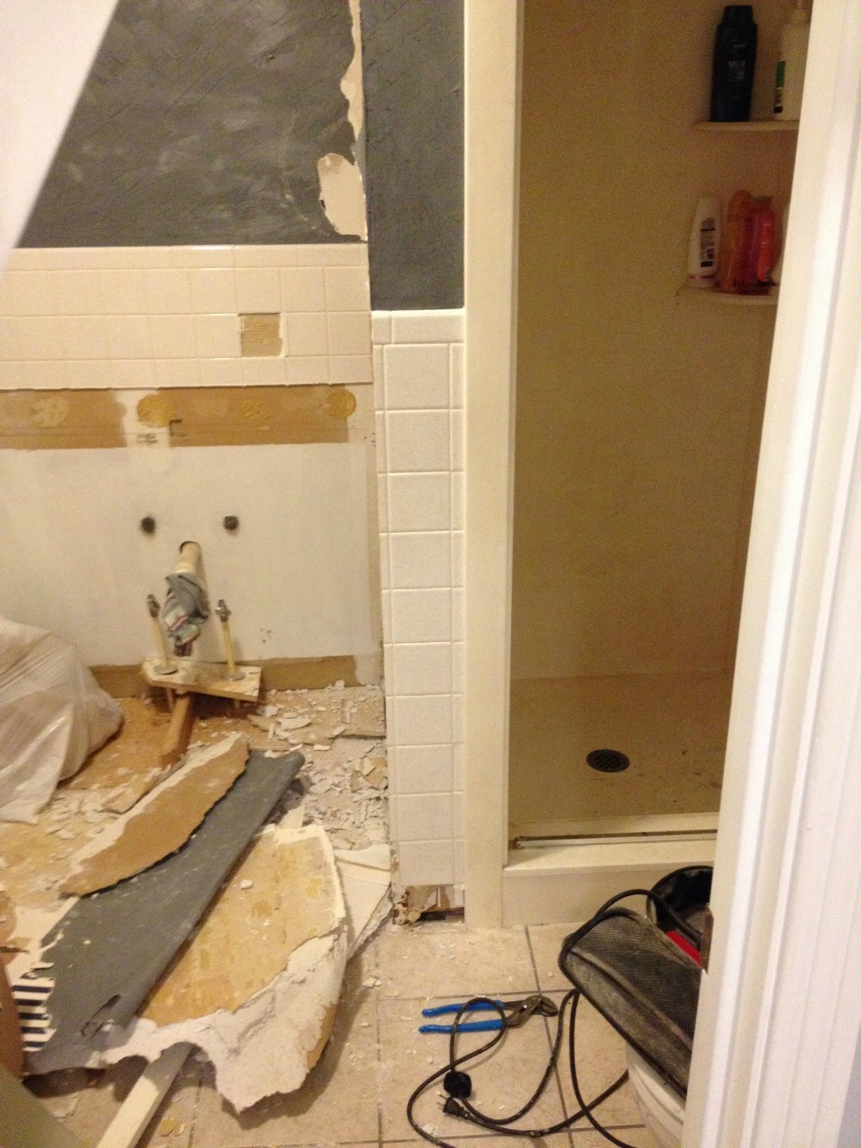 Bathroom Remodel Update--The Point of No Return