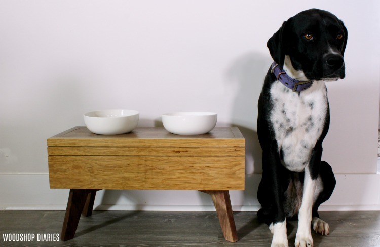 DIY Dog Food Bowl Stand for Small Pups