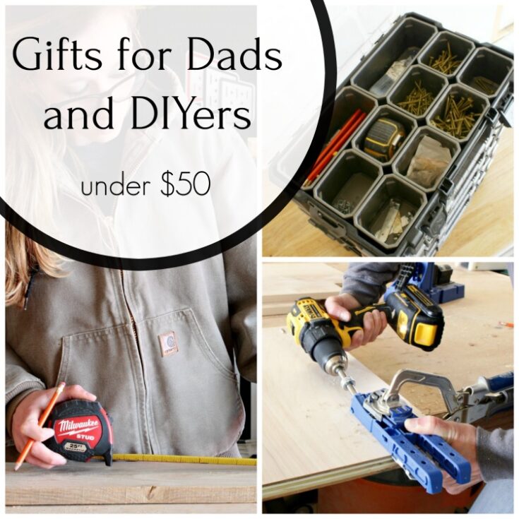 Gifts for Dads and DIYers --5 Ideas for UNDER $50