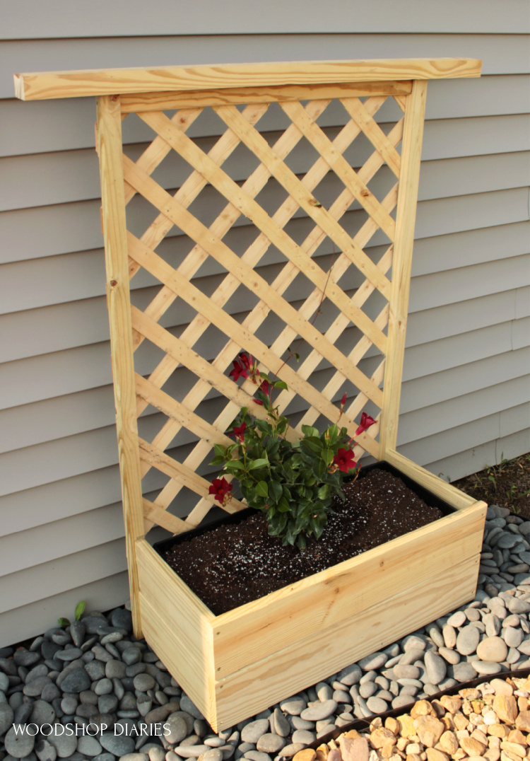 wooden box planter lattice trellis