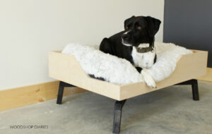 DIY Elevated Dog Bed -- From Plywood + 2x2s!